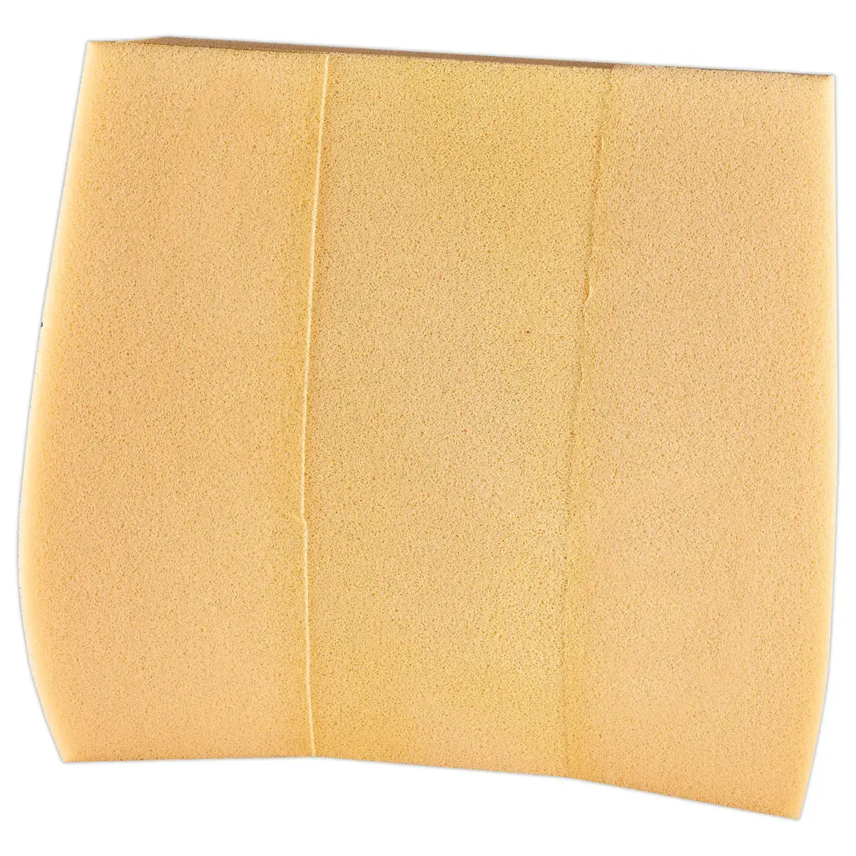 Coussin dorsal - Noir - FELLOWES 