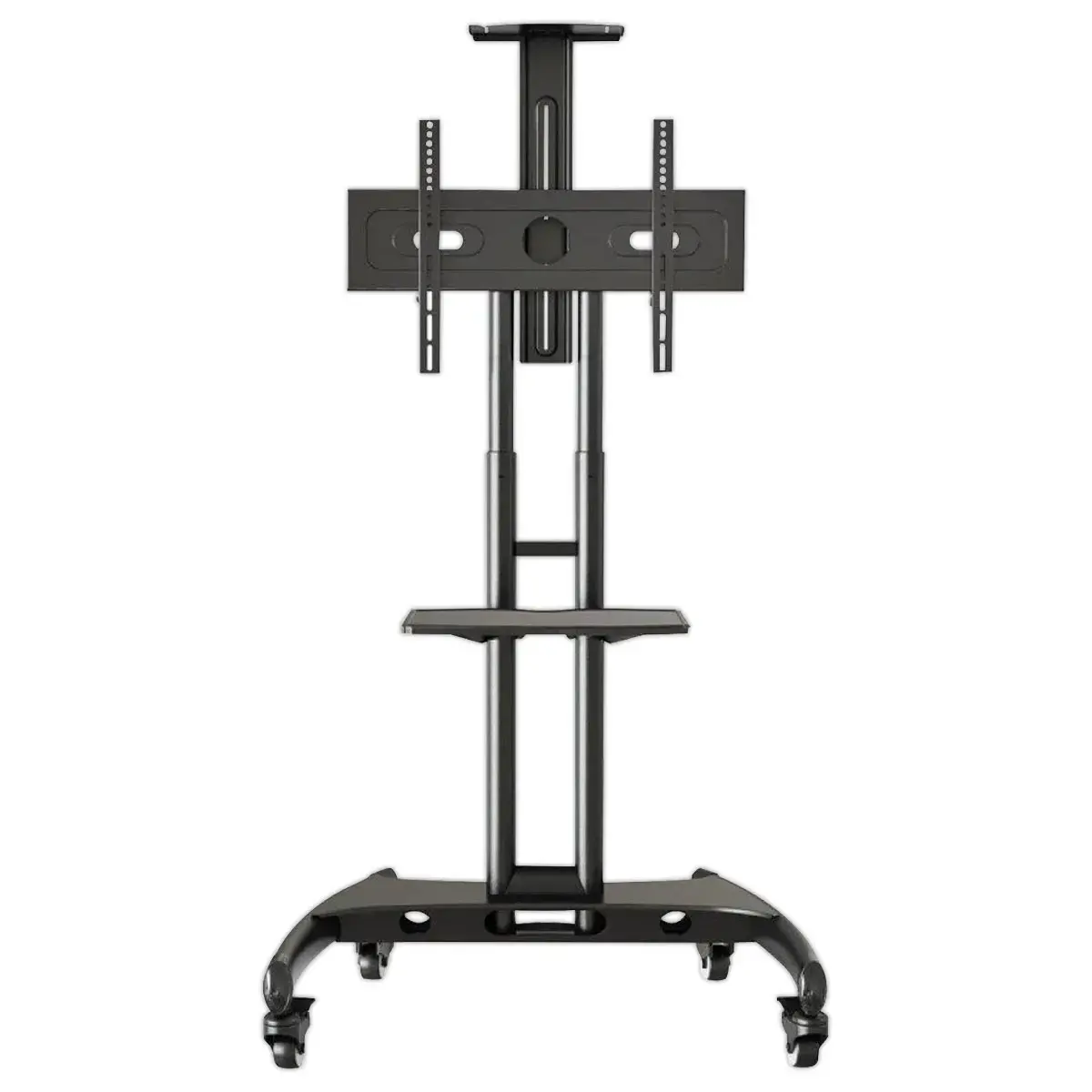 Ecran 65" IIYAMA + support mobile à roulettes