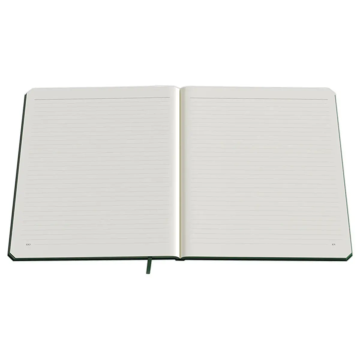Carnet de Kempen large ligné Origin - Vert