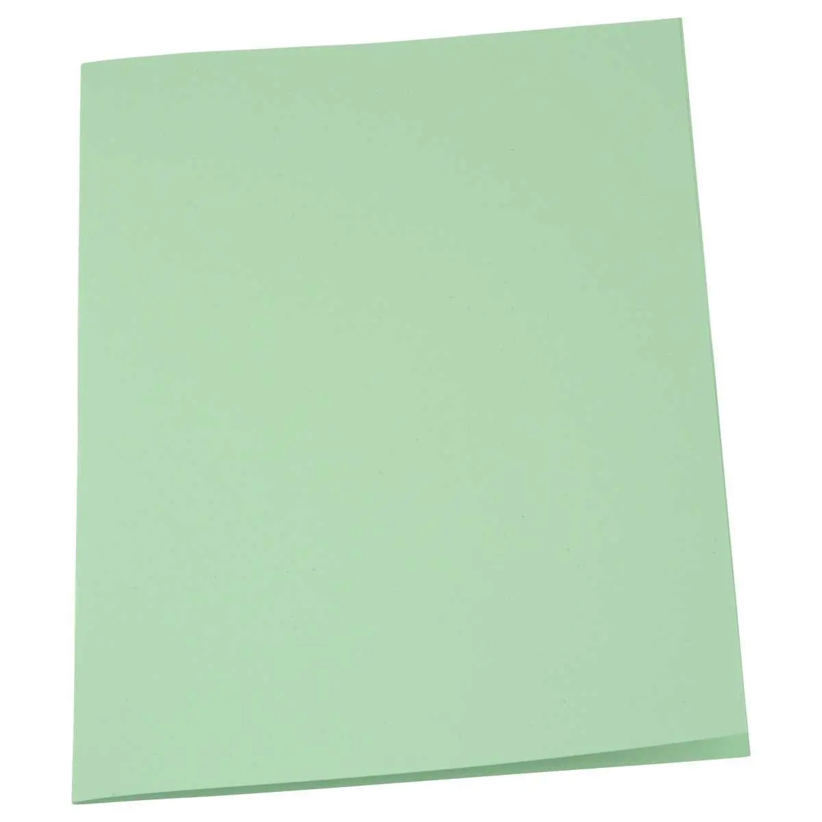 100 Chemises 220 g recyclées - Vert - EXACOMPTA