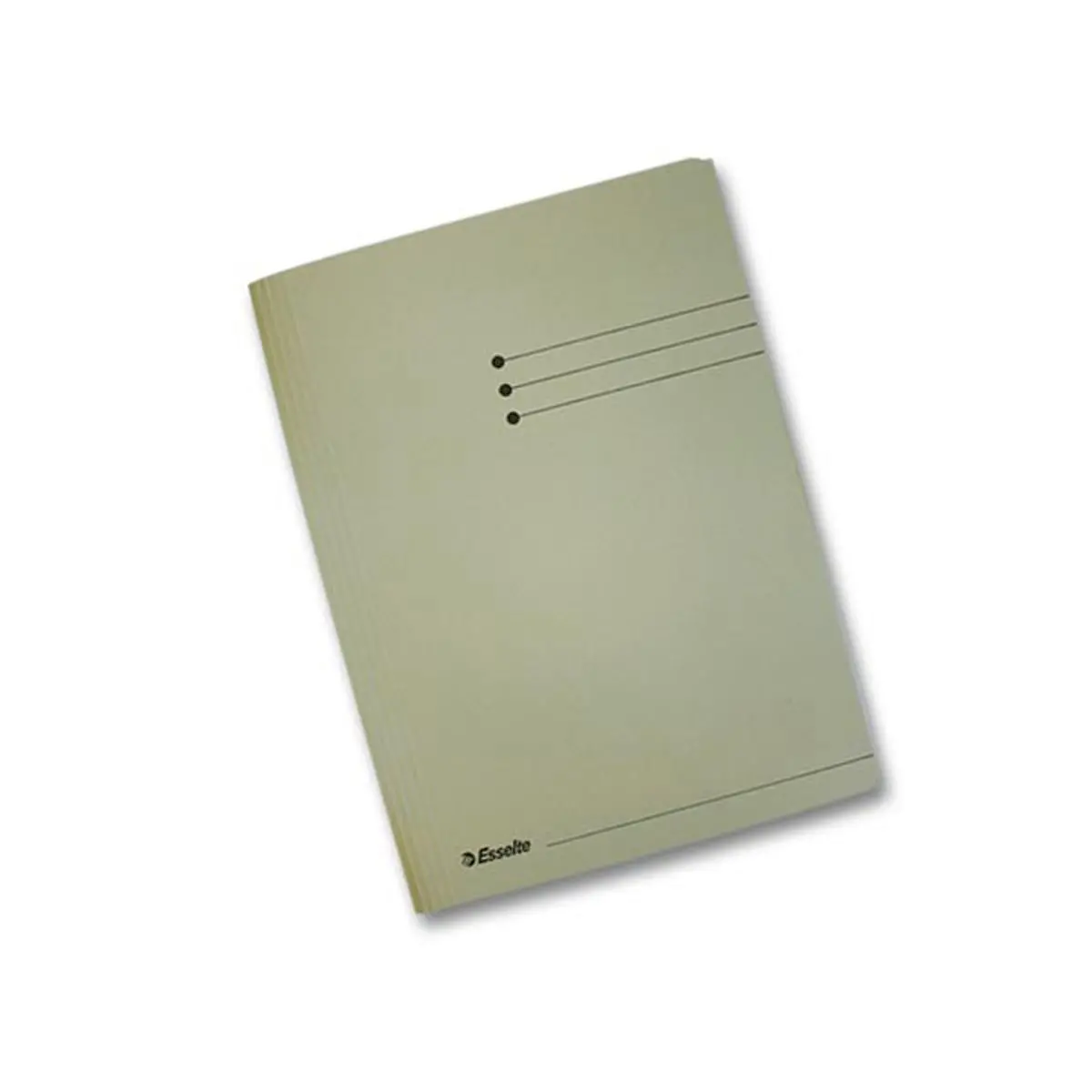 50 Chemises 3 rabats carton 300 g - Format folio gris - ESSELTE
