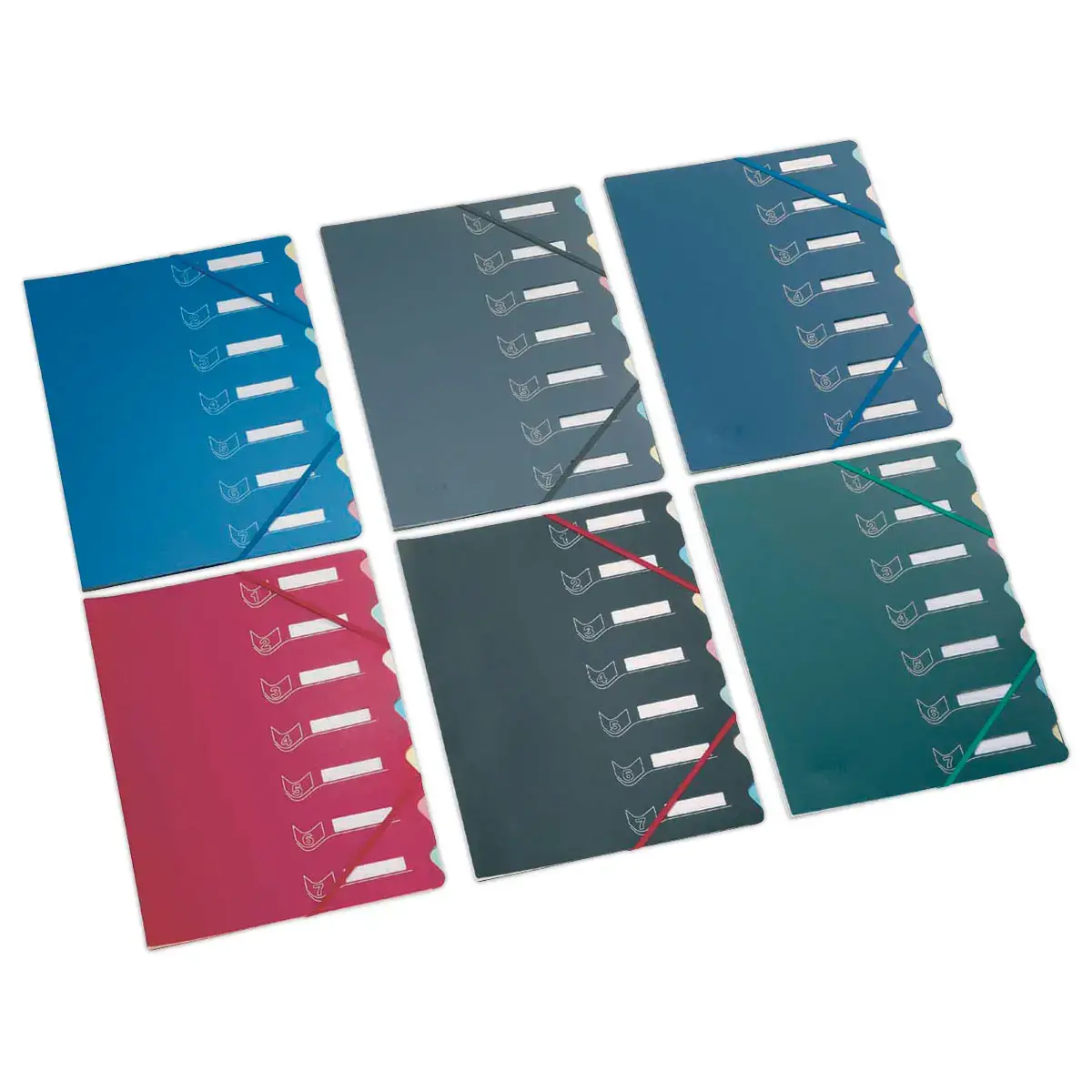 Trieur chemise bi-mati&egrave;re  - 7 compartiments - EXTENDOS 