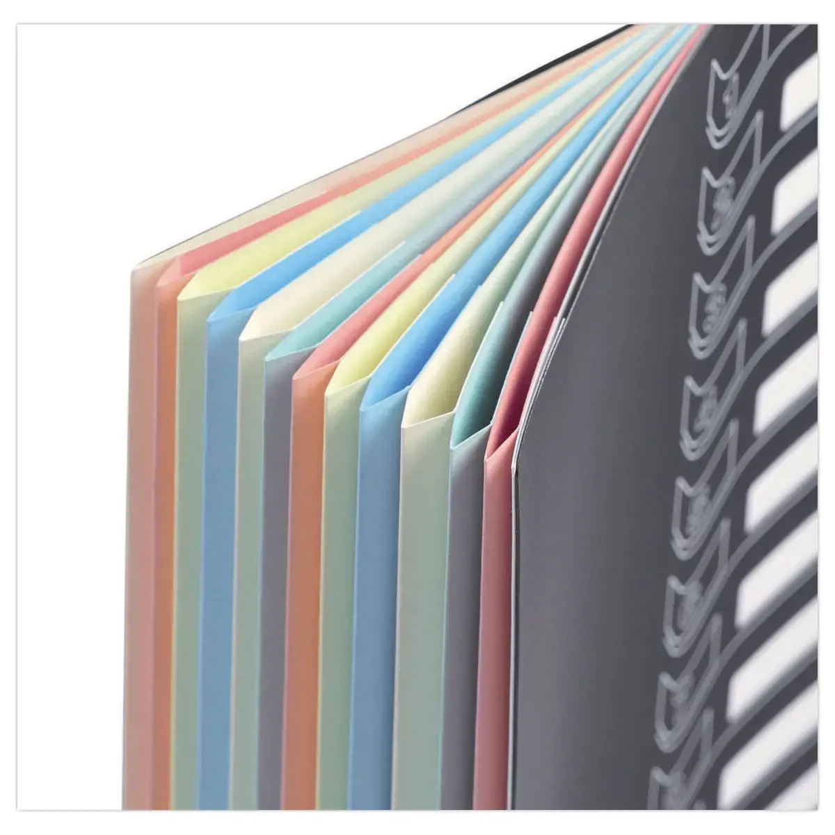 Trieur chemise bi-mati&egrave;re  - 7 compartiments - EXTENDOS 