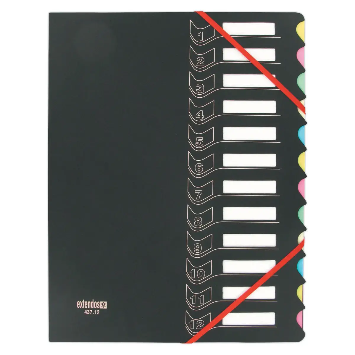 Trieur chemise bi-matière - 12 compartiments - EXTENDOS