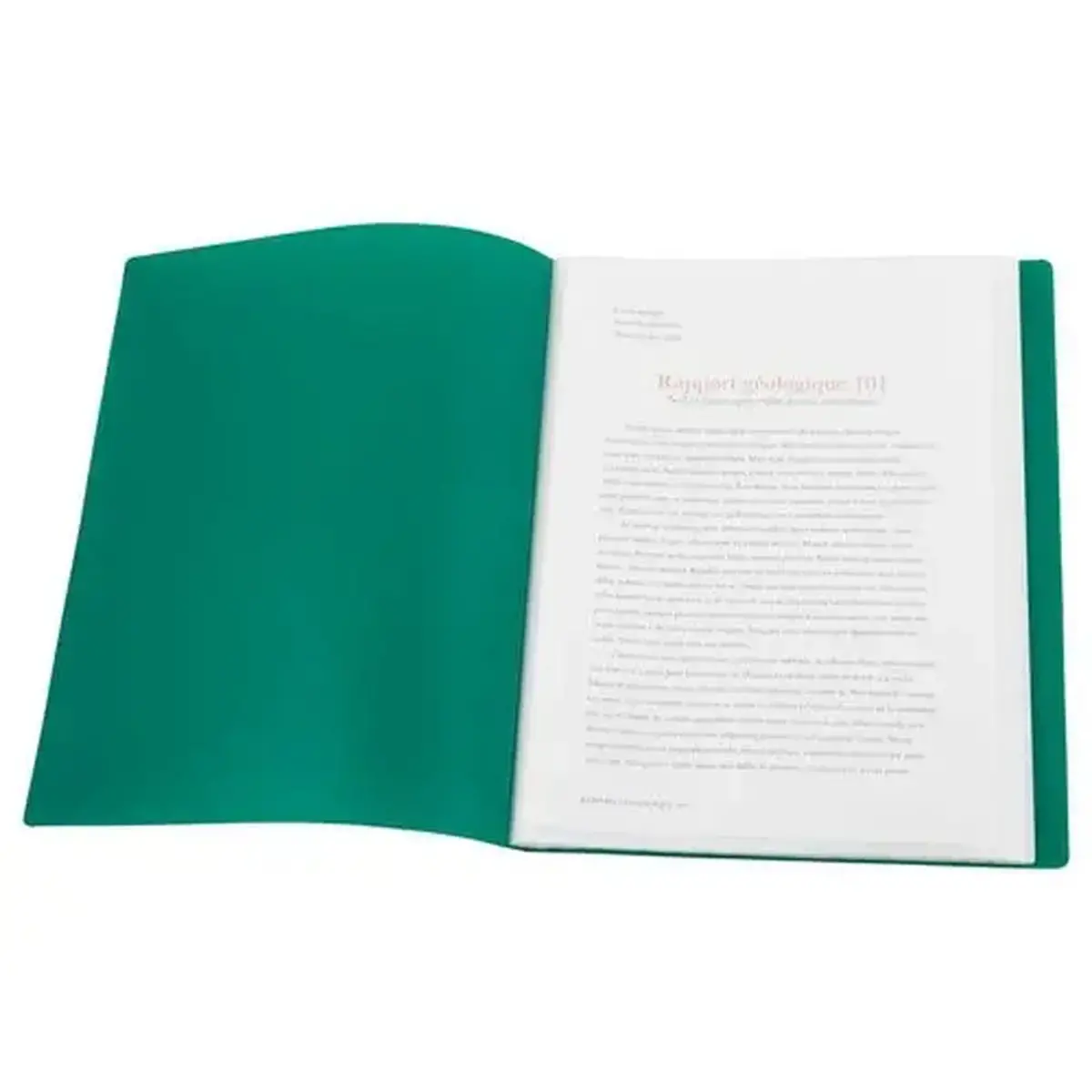 Protège-documents A4 - Vert - 40 pochettes
