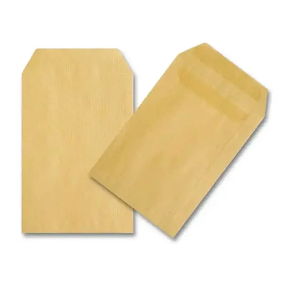 250 Pochettes kraft qualité supérieure - 275 x 365 mm - 120 g - GPV EVERYDAY
