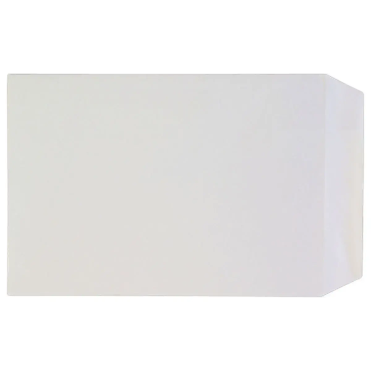 250 Pochettes blanches -90g - 229x324mm - sans fenêtre - GPV EVERY DAY