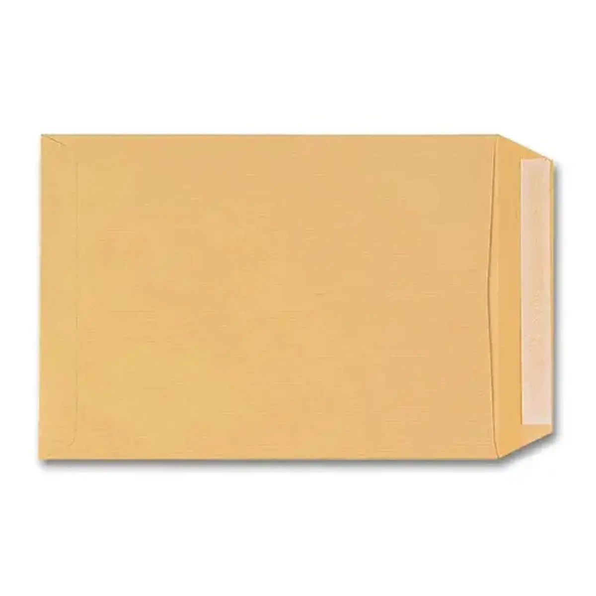 250 Pochettes kraft brun - 90 g - 250 x 352 mm - GPV EVERYDAY