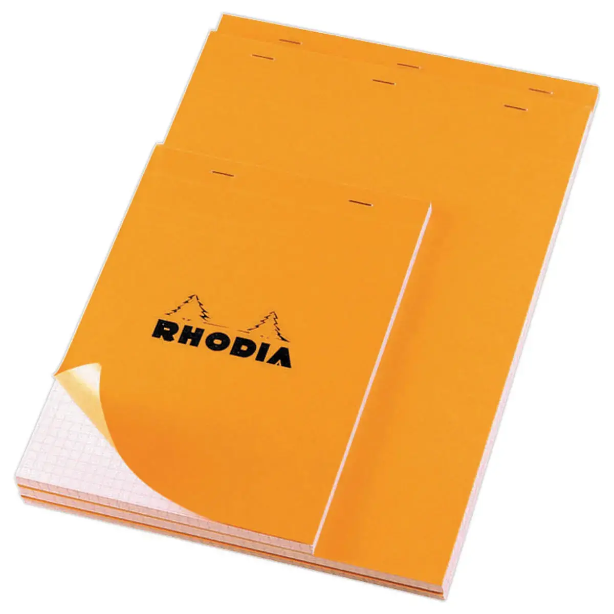 Bloc-notes A4+ Rhodia