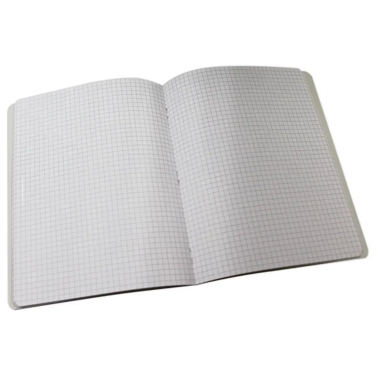 Cahier agraf&eacute; - 17 x 22 cm - Carreaux 5x5 - 96 pages - Fiducial 