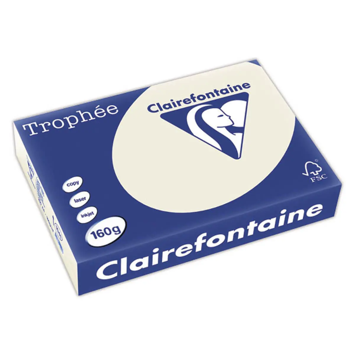 Ramette de 250 feuilles papier A4 color&eacute; gris pastel - Clairefontaine 