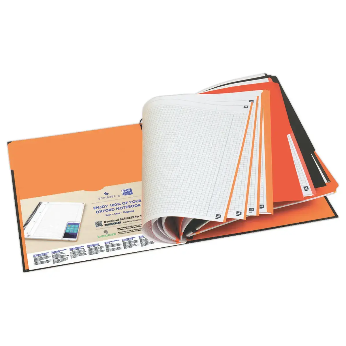 Cahier A4 Filingbook - 5x5 - 80g - Oxford International 