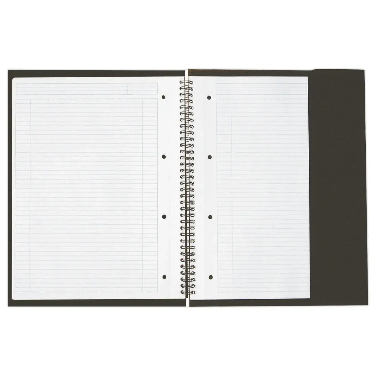 Cahier A4+ Meetingbook - 5x5 - Oxford International