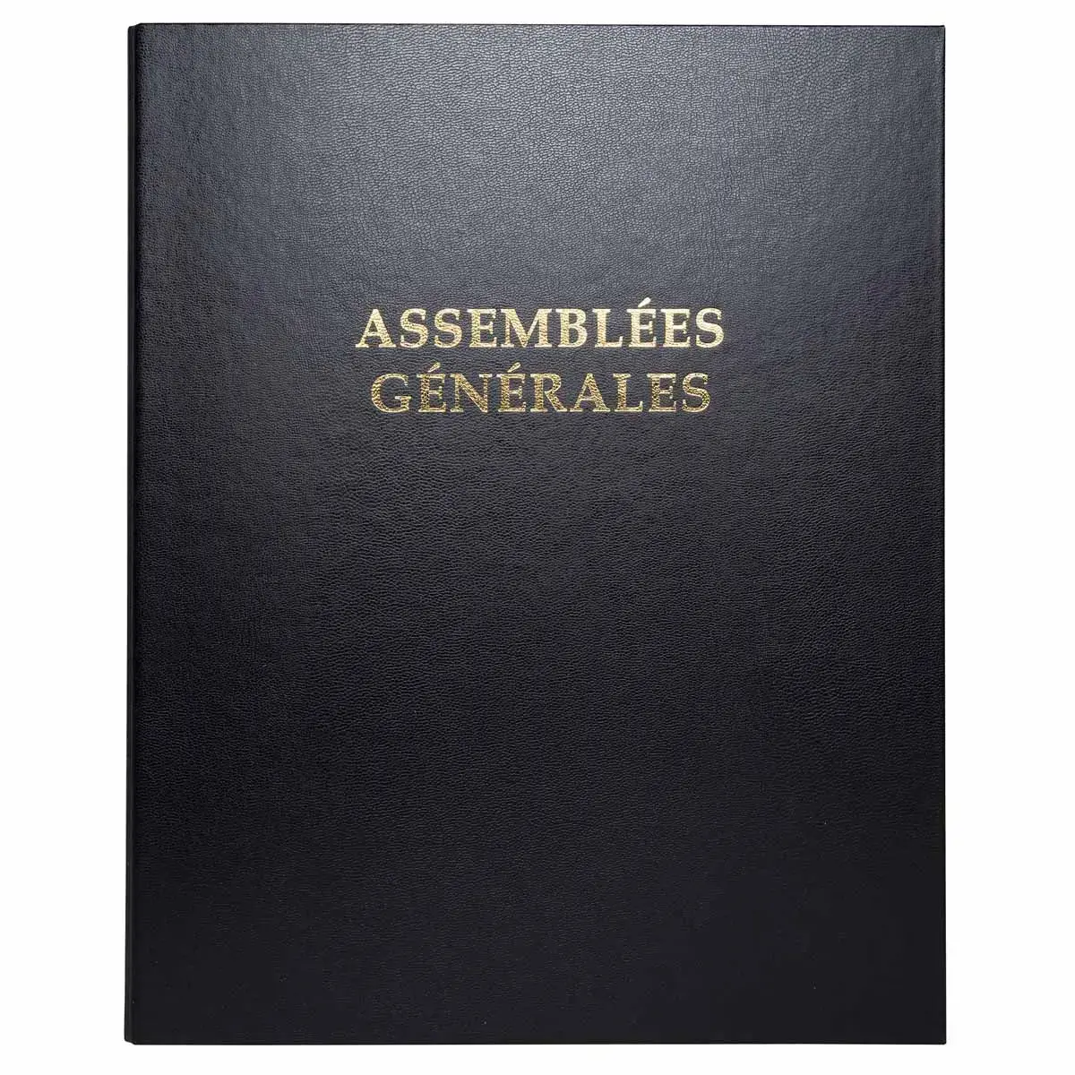 Reliure registre 32x26cm 4 anneaux avec recharge de 100 feuillets - Assembl&eacute;es g&eacute;n&eacute;rales - EXACOMPTA 