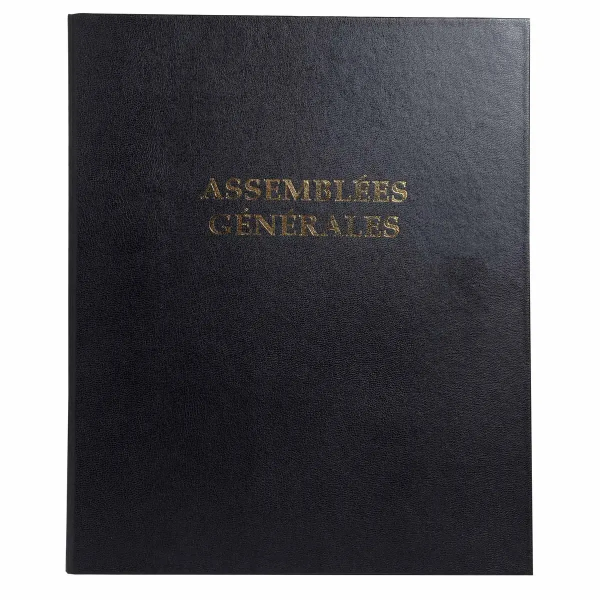 Reliure registre &eacute;conomique 32x26cm 4 anneaux - Assembl&eacute;es g&eacute;n&eacute;rales - EXACOMPTA 
