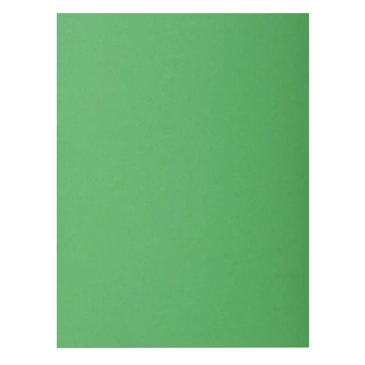 Paquet de 10 chemises ROCK'S 210 - 24 x 32 cm - Sapin - Exacompta 