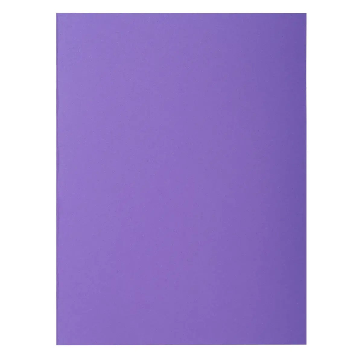 Paquet de 100 chemises ROCK''S 210 - 24x32cm - Violine - EXACOMPTA