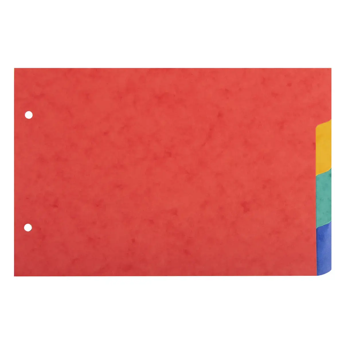 Intercalaires pour fiches bristol carte lustr&eacute;e 225 g/m2 4 positions - A5 148 x 210 mm - Exacompta 