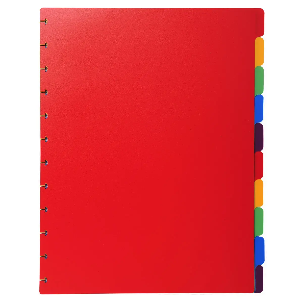Intercalaires polypropylènes couleurs 10 positions pour porte-vues à anneaux - EXACOMPTA
