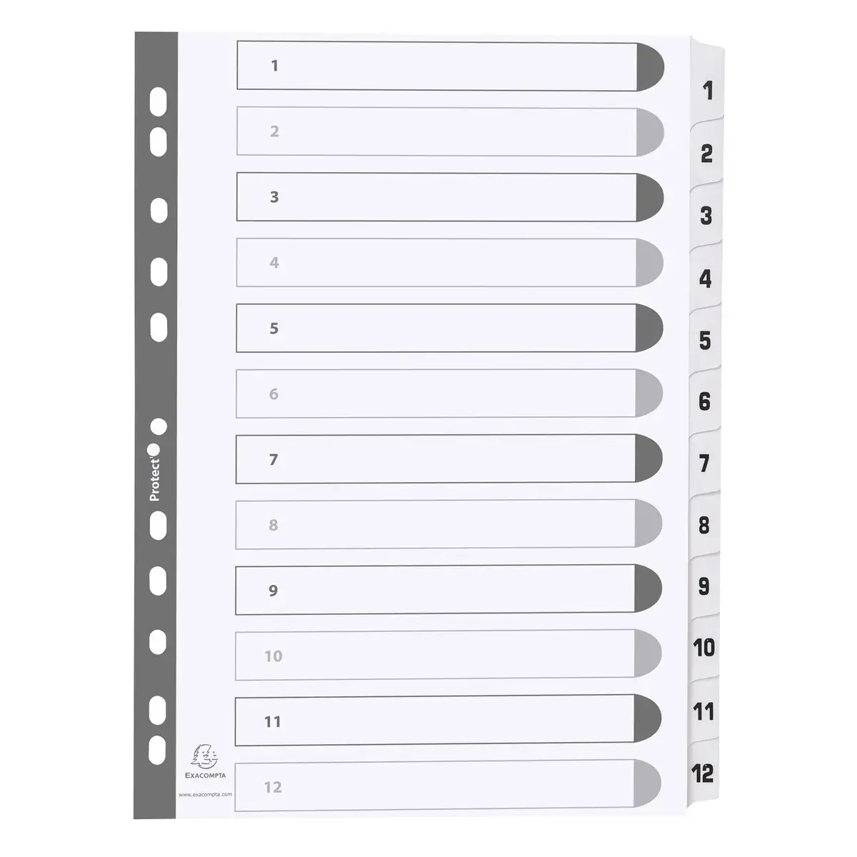Intercalaires imprimés à touches plastifiées - 12 touches 1 à 12 - A4 - Blanc - EXACOMPTA