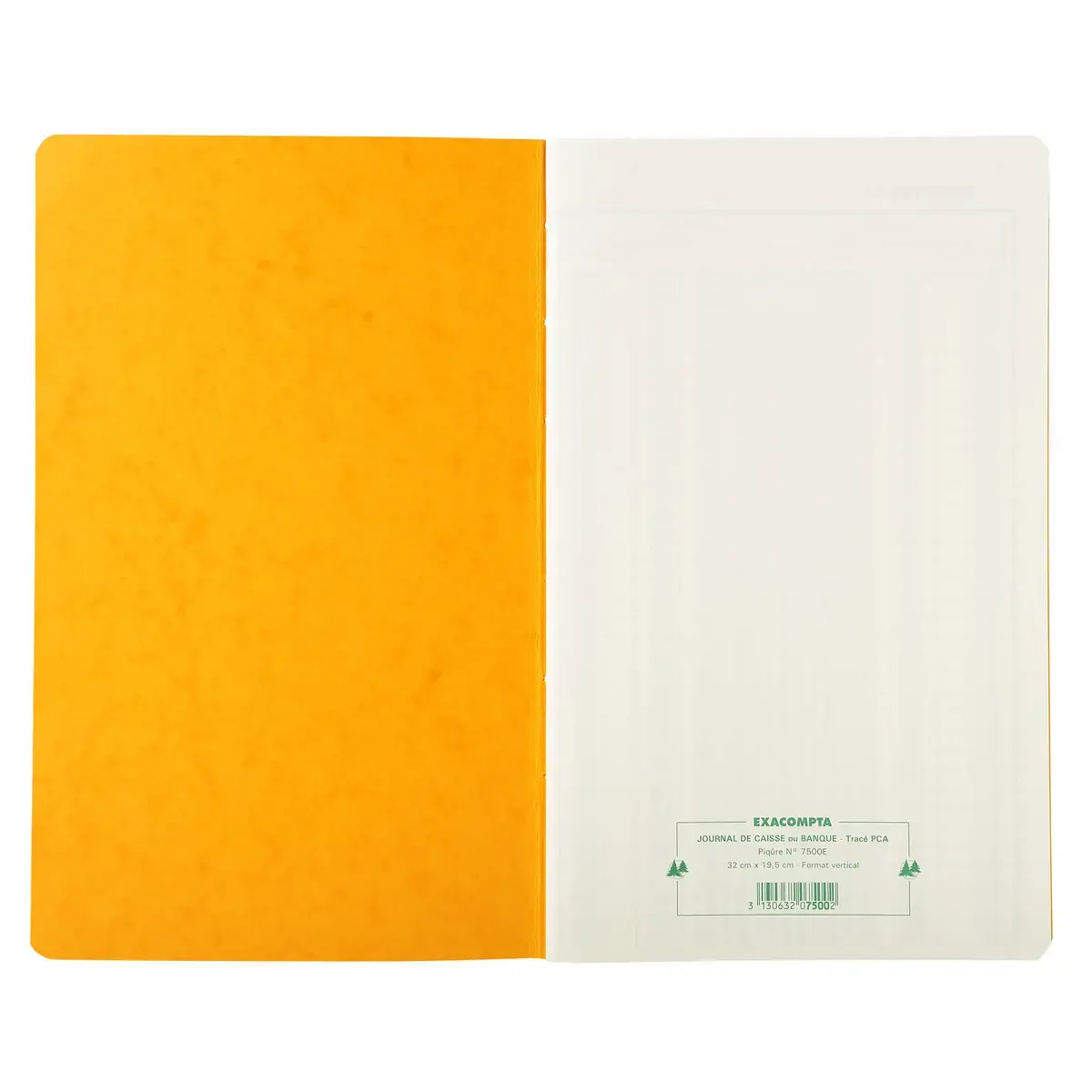 Piq&ucirc;re 32x19,5cm Journal de caisse ou banque 5 d&eacute;bits - 5 cr&eacute;dits 31 lignes 80 pages - EXACOMPTA 