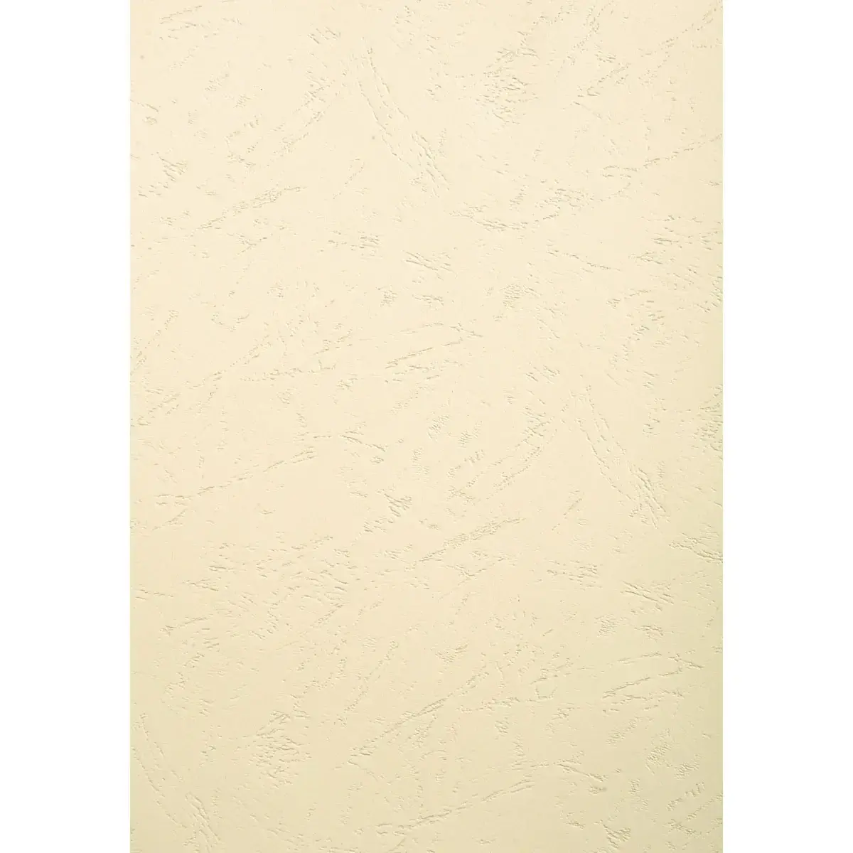 PK 100F FOREVER IVOIRE A3 270G 