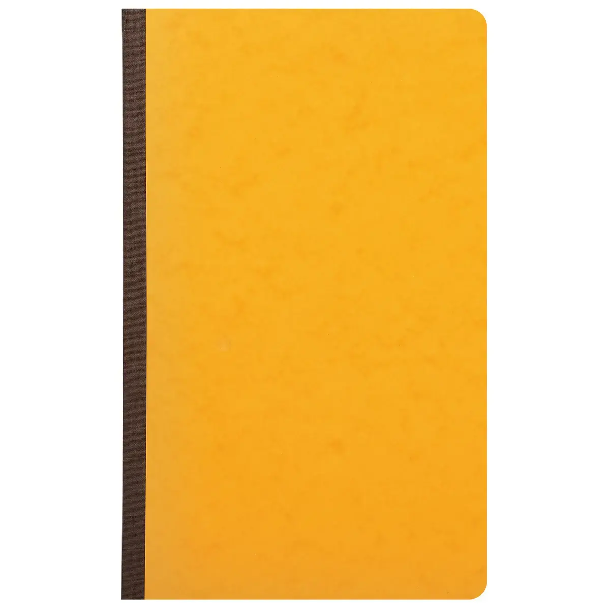 Piq&ucirc;re 32x19,5cm 4 colonnes sur 1 page 31 lignes 80 pages - EXACOMPTA 
