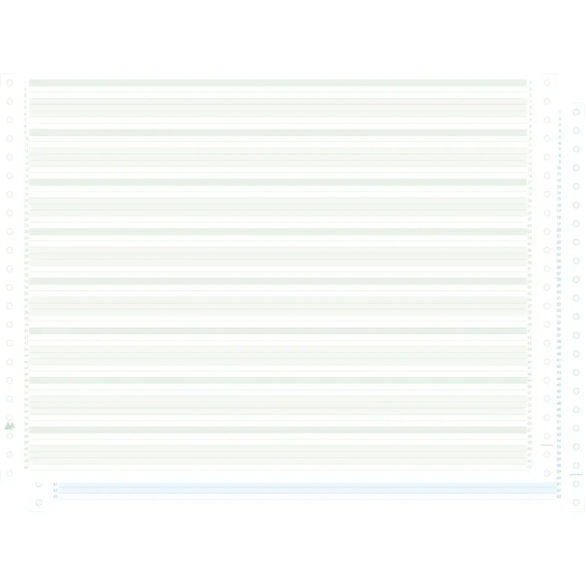 1000 feuillesles de listing autocopiant zon&eacute; vert/bleu 380 x 11" 2plis Bandes Caroll Non D&eacute;tachables - Vert - Exacompta 