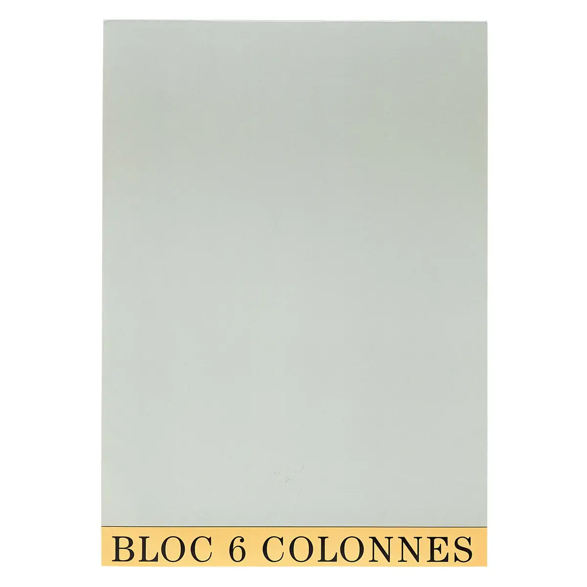 Bloc de contrôle comptable 29,7x21cm - 6 colonnes - 70 feuillets - Gris - EXACOMPTA