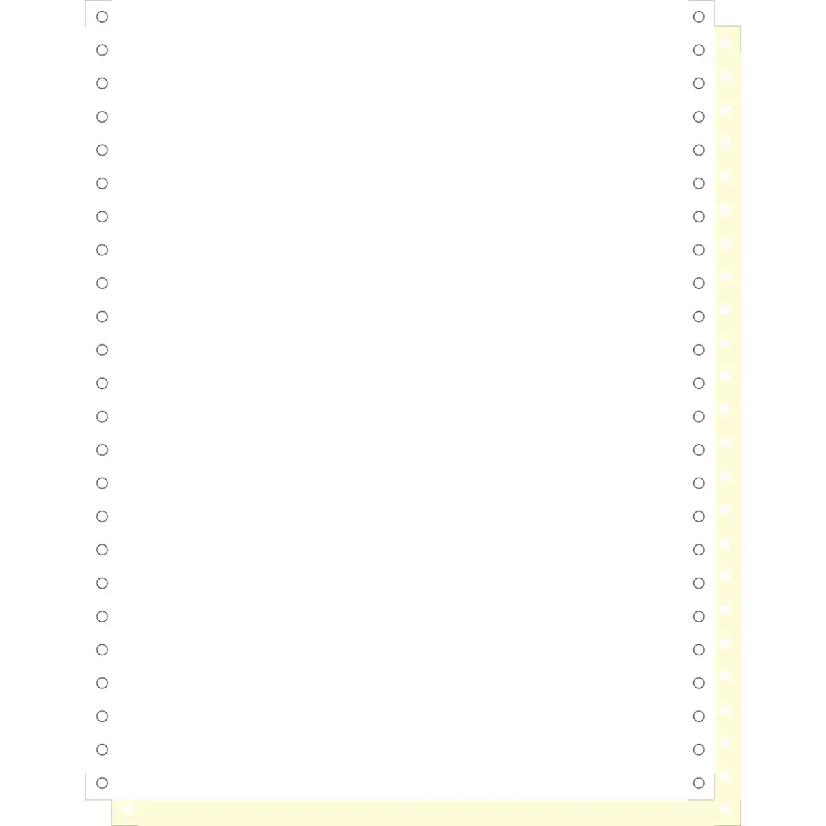 1000 feuillesles de listing autocopiantes blanc/jaune 240 x 12" 2plis Bandes Caroll Détachables - Blanc - Exacompta