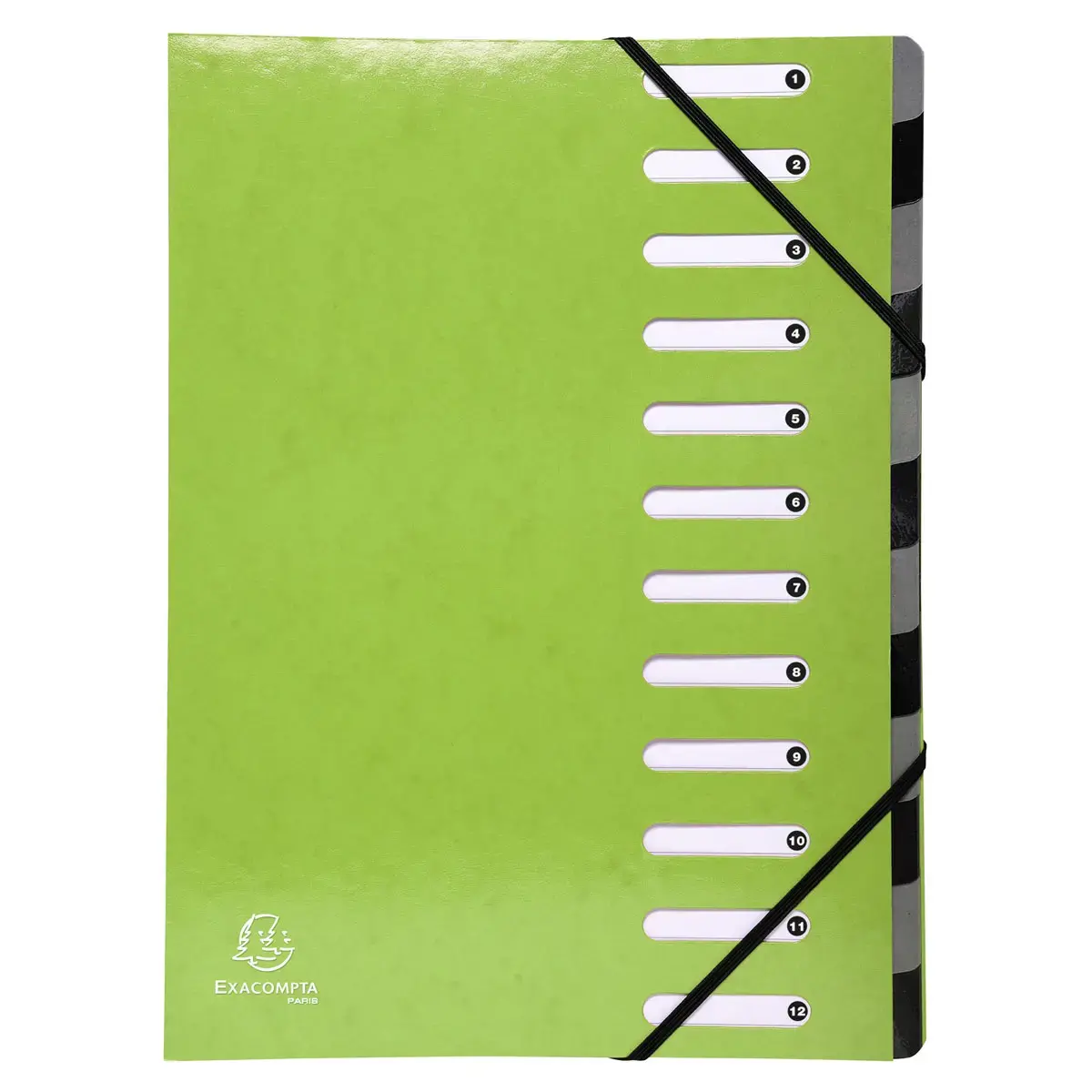 Trieur Harmonika Iderama 12 compartiments - Vert anis - EXACOMPTA 