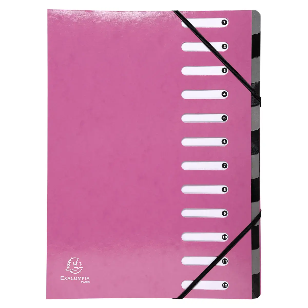 Trieur Harmonika Iderama 12 compartiments - Rose - EXACOMPTA