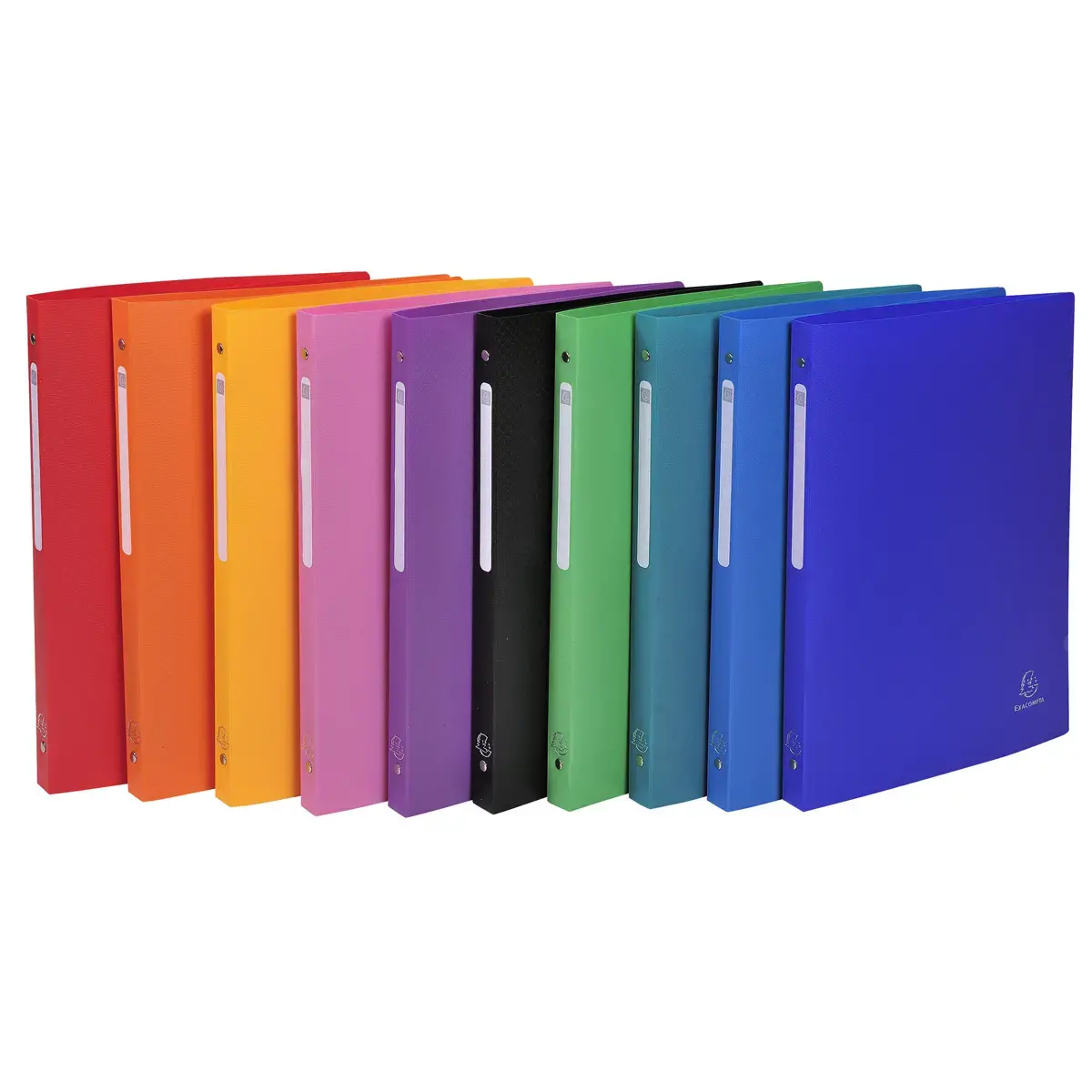 Classeur 4 anneaux 15mm polypropylène OPAK - A4 - Couleurs assorties - EXACOMPTA
