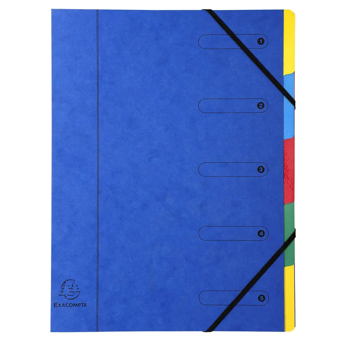 Trieur Harmonika fen&ecirc;tres imprim&eacute;es Nature Future carte lustr&eacute;e 5 compartiments - Couleurs assorties - EXACOMPTA 