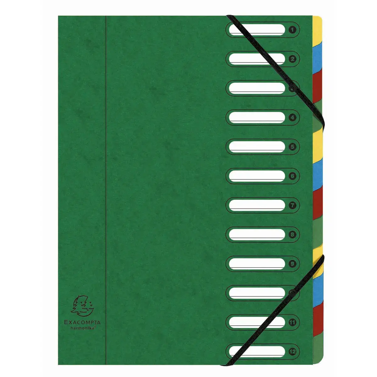 Trieur HARMONIKA® à fenêtres avec élastiques véritable carte lustrée 12 compartiments - Vert - EXACOMPTA