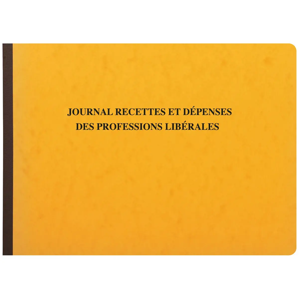 Piqûre Recettes-Dépenses professions libérales - 27 x 38 cm - 80 pages - Exacompta