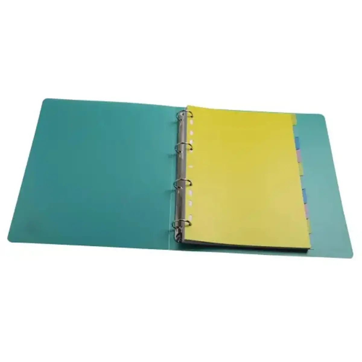 Intercalaires FOREVER YOUNG PP A4 10P - Exacompta 