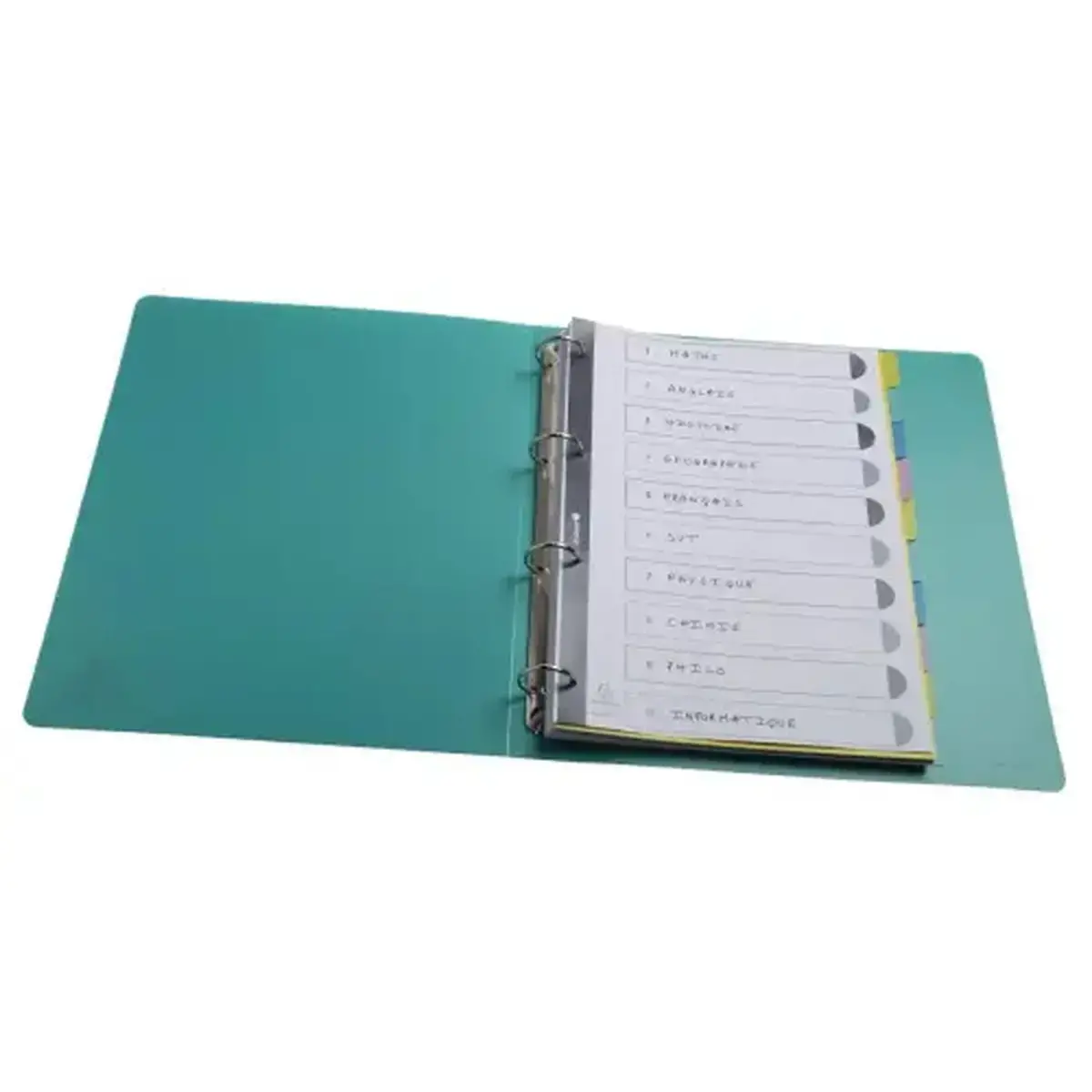 Intercalaires FOREVER YOUNG PP A4 10P - Exacompta 