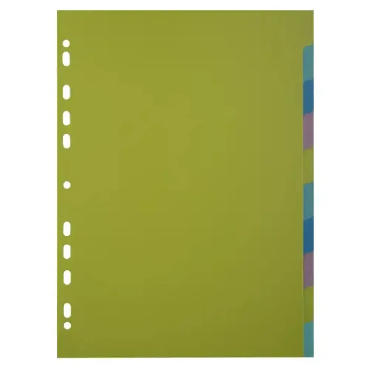 Intercalaires FOREVER YOUNG PP A4 10P - Exacompta 