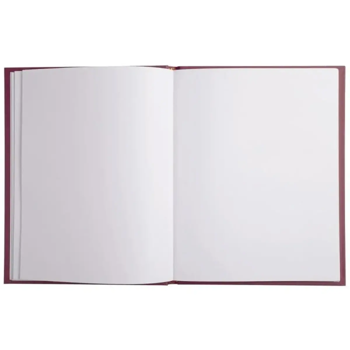 LIVRE D OR 1M.220X170 LIE DE VIN