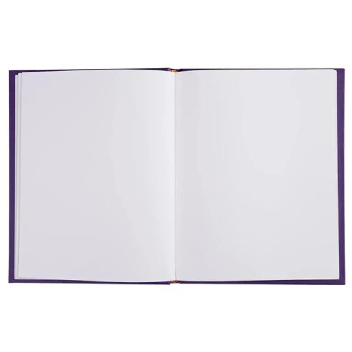 LIVRE D OR 1M.220X170 VIOLET