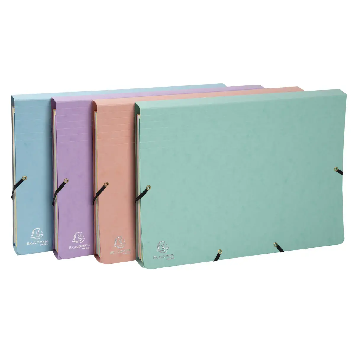 Trieur avec &eacute;lastiques - 12 compartiments- 34 x 24,5 cm - Coloris pastel - EXACOMPTA 