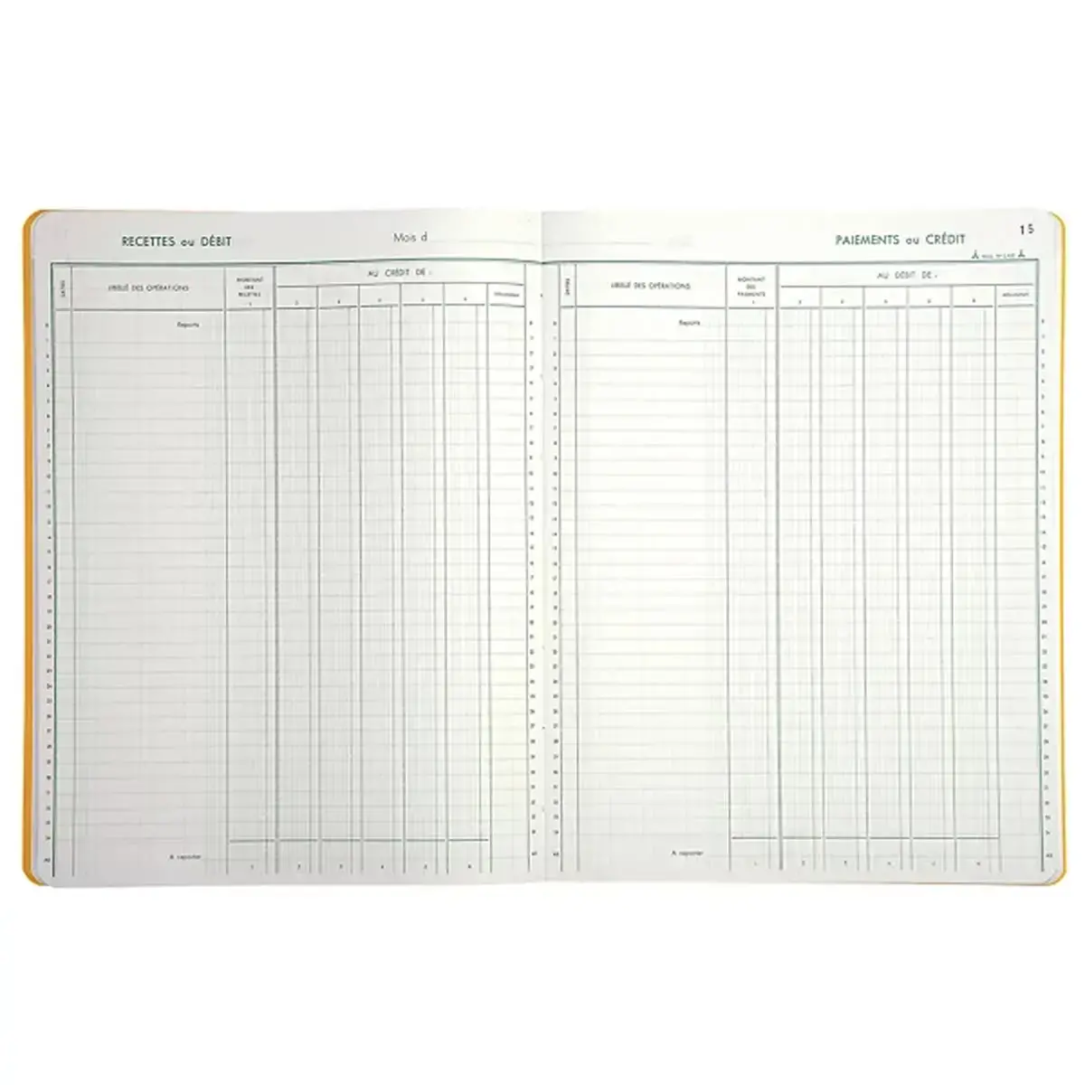 Piq&ucirc;re Tr&eacute;sorerie verticale - 31,5 x 24,5 cm - 6 colonnes d&eacute;bit / 6 cr&eacute;dit - 80 pages - Exacompta 