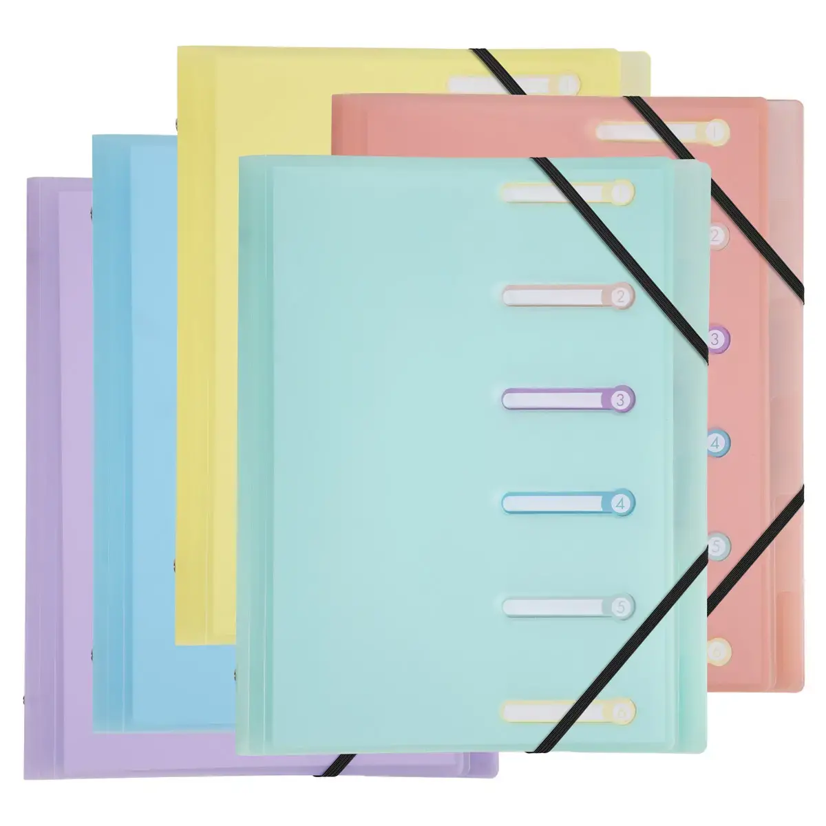 Trieur PP 6 compartiments Chrom.Pastel