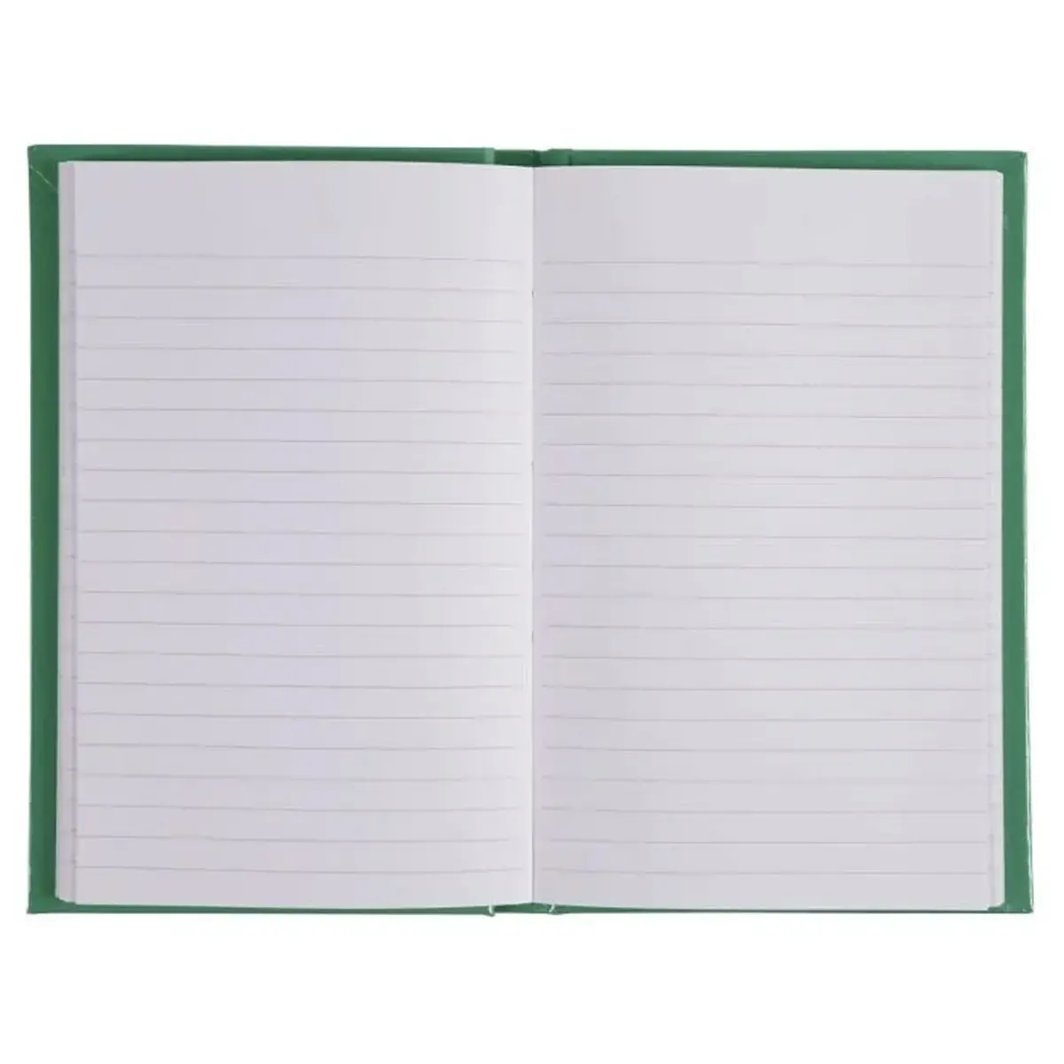 REG IDERAMA 170x110 192P LIGNE VERT FSC&reg; 