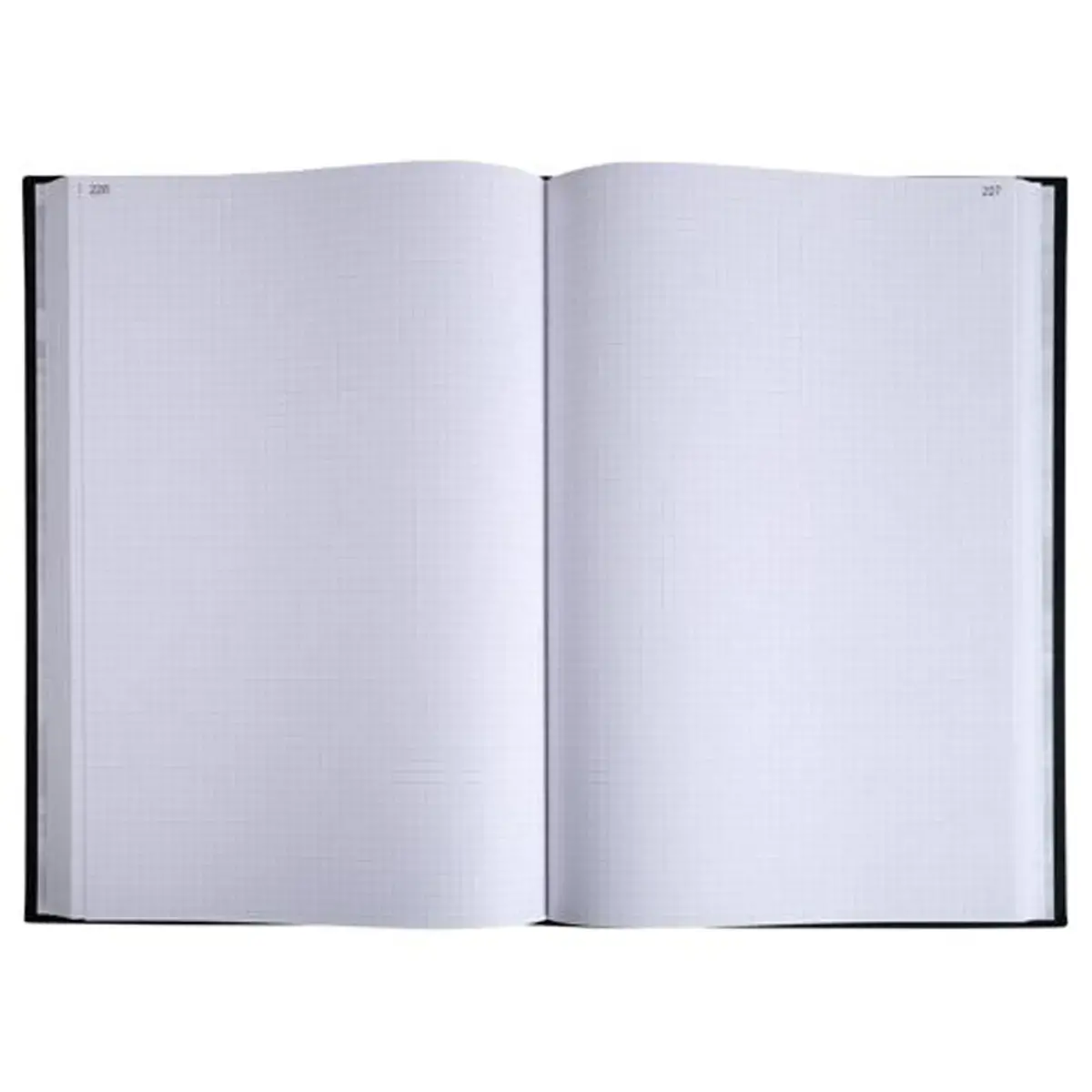 Registre quadrill&eacute; 5 x 5 mm foliot&eacute; - 39 x 25,5 cm - Exacompta 