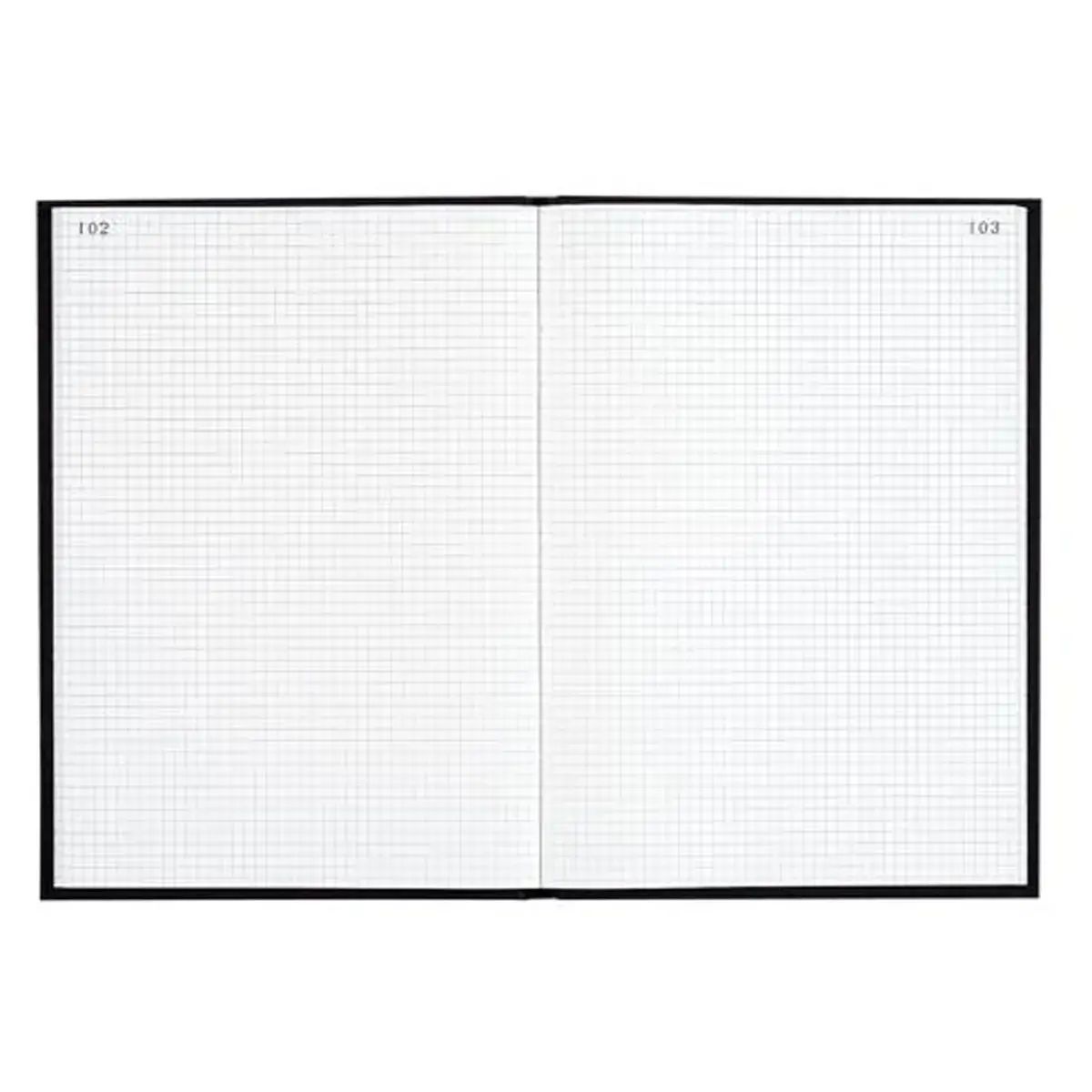 Registre quadrillé 5 x 5 mm folioté - 34 x 22,5 cm - 400 pages - Exacompta