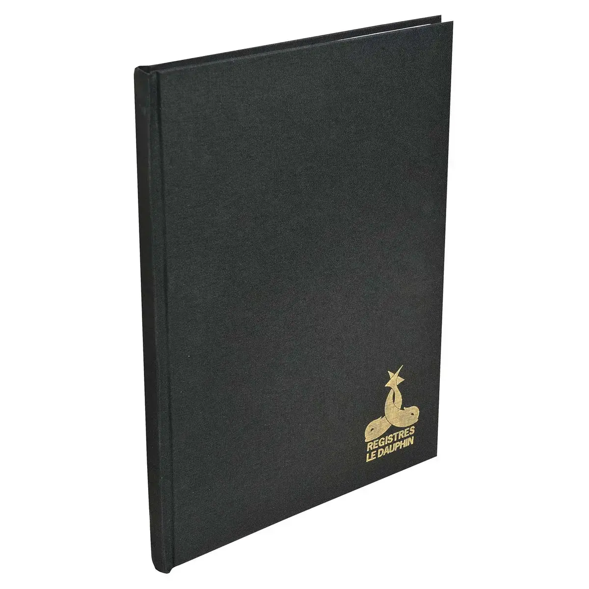 Registre quadrill&eacute; 5 x 5 mm non foliot&eacute; - A4 - 304 pages - Exacompta 