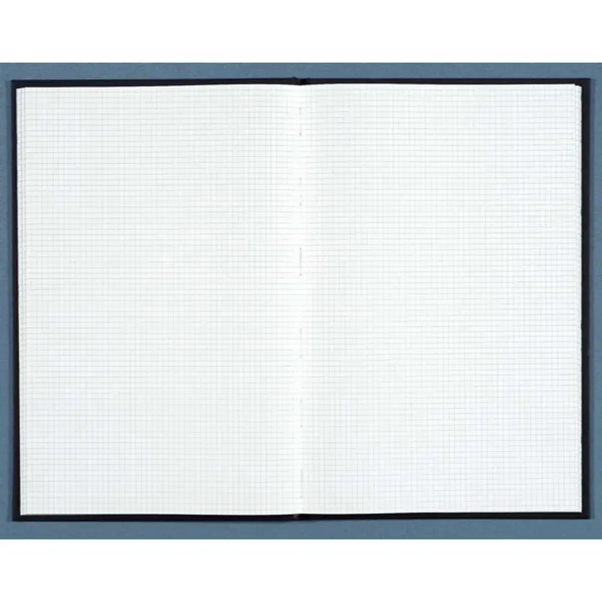 Registre quadrill&eacute; 5 x 5 mm non foliot&eacute; - A4 - 496 pages - Exacompta 
