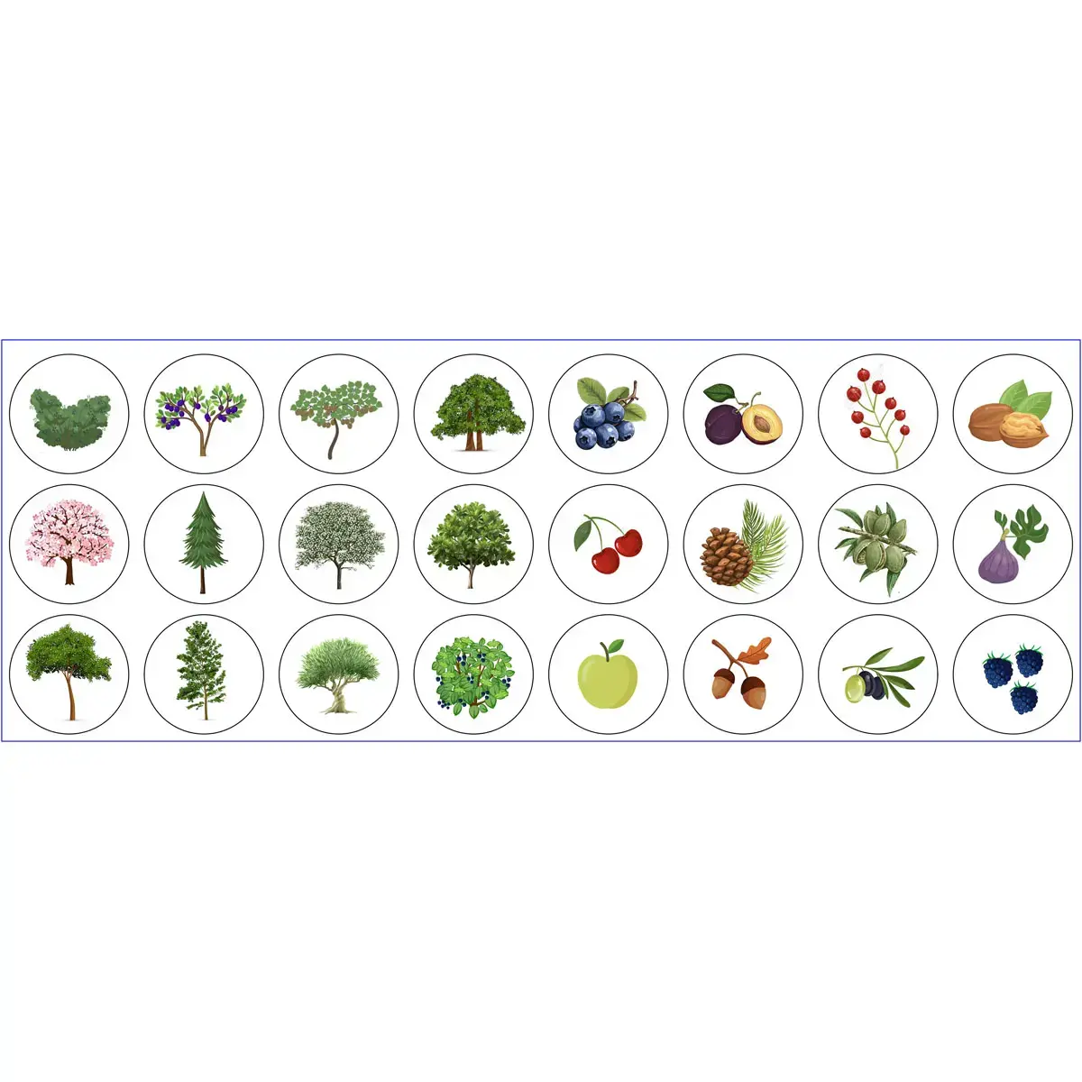 Rouleau de gommettes Arbres 360 unit&eacute;s - Apli 
